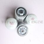 Engine Water Filter